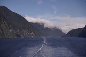 FIORDLAND-NATIONAL-PARK-2019 (254)